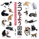 8月8日「世界ネコの日」に『ネコもよう図鑑』を刊行　街で出会うネコたちがいつもと違って見えてくる！