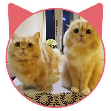 ベルちゃん・すずちゃん