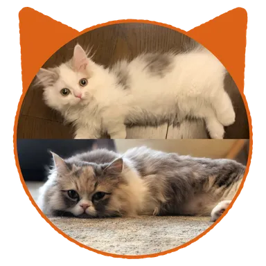 みるくちゃん・ももちゃん