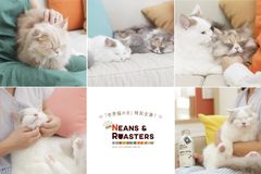 8月8日「世界猫の日」は、猫とほっこり癒される1日に！“ＢＥＡＮＳ ＆ ＲＯＡＳＴＥＲＳ”×世界猫の日＝“ＮＥＡＮＳ ＆ ＲＯＡＳＴＥＲＳ”8通りの猫の癒し方を教えてくれる「＃ほっこりニャレンジ」動画公開！