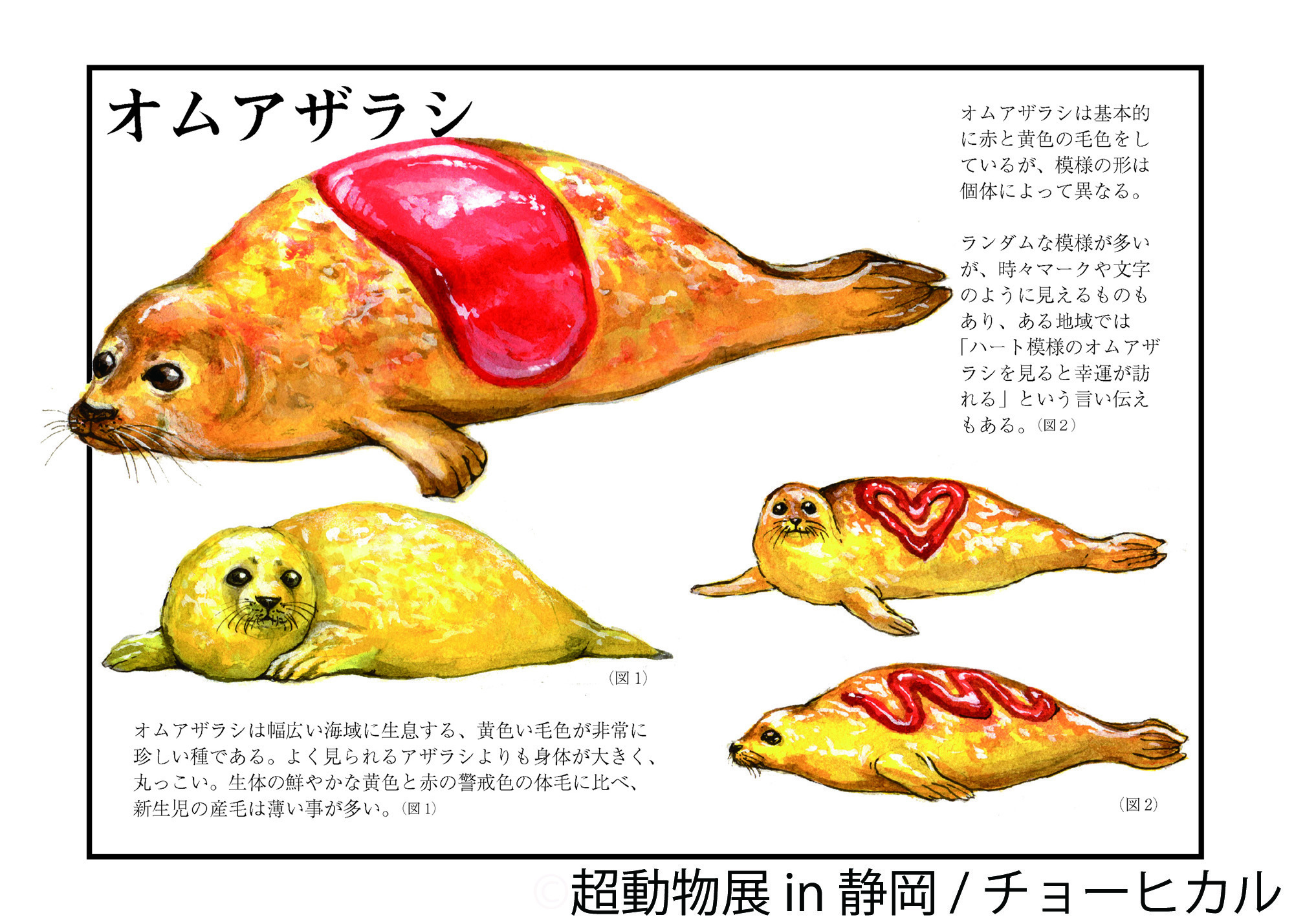空想 リアルが凝縮 チョーヒカル 超動物展 8 17 開催 静岡 ピザのような魚や 世界的技術のボディペインティングなど 株式会社baconのプレスリリース