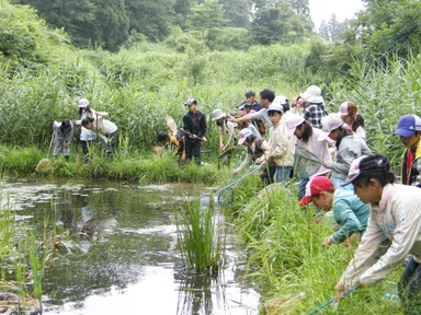 水辺の生き物観察の様子