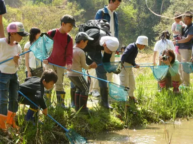 水辺の生き物観察の様子