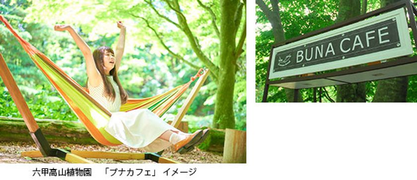 大阪・神戸から約1時間
ー5℃のオアシス 六甲山で夏休み
～夏休みを涼しく楽しく過ごせるイベント盛りだくさん～