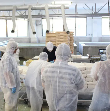 吉野本 葛の工場見学