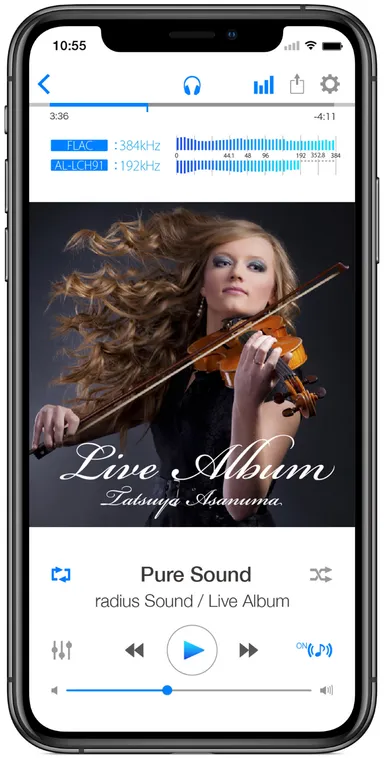 再生画面イメージ