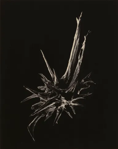 山本昌男《浄 #3041 "Free at last"》2014年 (C)Yamamoto Masao