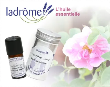 新アイテム「ローズ・オットー」