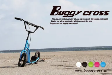 バギークロスイメージ