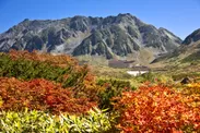 ナナカマドの赤と草紅葉の彩り鮮やかな立山