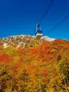山頂に雪、中腹に紅葉、山麓に緑の三段紅葉