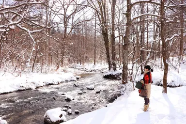 【星野エリア】川沿いの散策路 冬