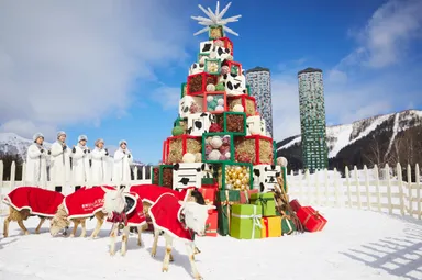 【リゾナーレトマム】牧草ツリーイメージ