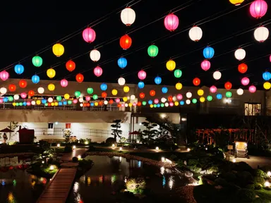 天空イルミネーション