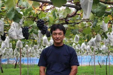 今回の商品開発にご協力いただく地元のぶどう園”土山ぶどう園”