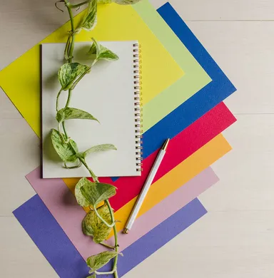 色のもつ効果を味方にする