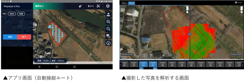 ドローンで農地の生育確認