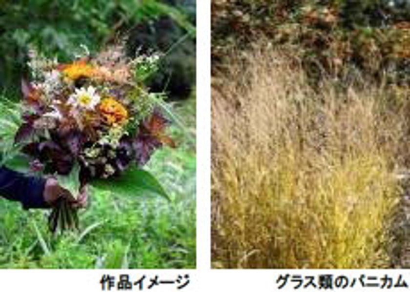 六甲オルゴールミュージアム
「ミュージアムガーデンで楽しむ、フラワーアレンジメントとランチ」
2019年9月18日(水)、10月23日(水)開催