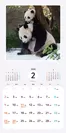 パンダ！パンダ！パンダ！ カレンダー  2020（翔泳社）2月