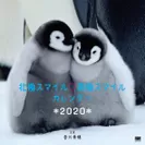 北極スマイル・南極スマイル カレンダー 2020（翔泳社）