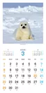 北極スマイル・南極スマイル カレンダー 2020（翔泳社）3月