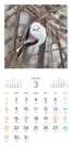 もふもふふわふわ シマエナガ カレンダー 2020（翔泳社）3月