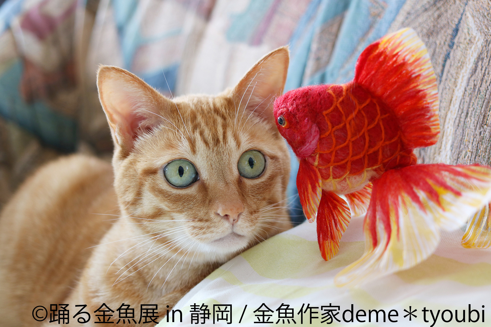 金魚の妖艶な美しさを切り取った作品が静岡に初集結！「踊る金魚展 in 