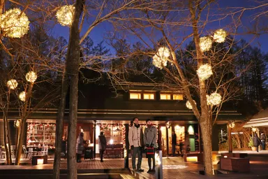 【星野エリア】ハルニレテラスのやどり木イルミネーション