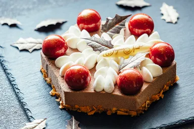 【星野エリア】軽井沢ホテルブレストンコート クリスマスケーキ「フォレ・ド・ノエル」