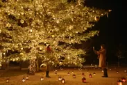【星野エリア】もみの木ツリー 記念撮影