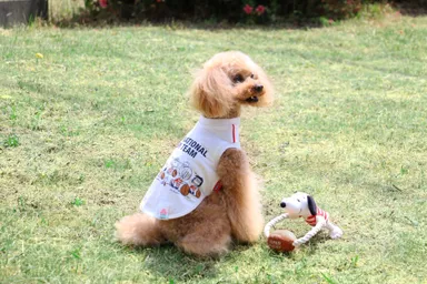 集合イメージ　(C) JRFU　(C) 2019 Peanuts Worldwide LLC