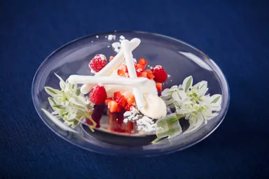 【トマム】雪ディナー 雪原のデザート