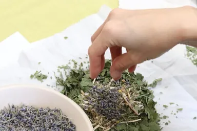 ハーブボールづくり体験