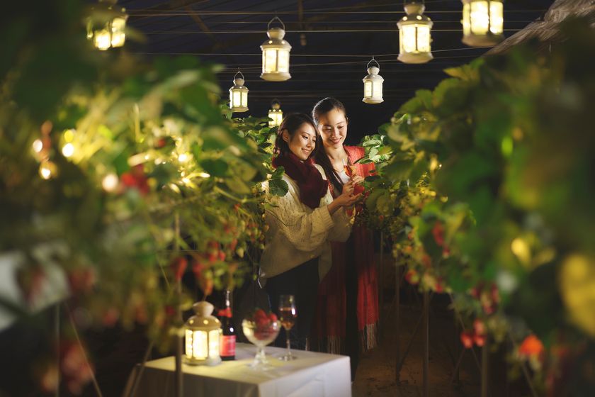 星野リゾート　リゾナーレ熱海
静岡生まれのいちご「紅ほっぺ」を堪能するプログラム
「ナイトストロベリーツアー
～究極の紅ほっぺに出会ういちご一会編～」開催
期間：2020年1月10日～4月4日