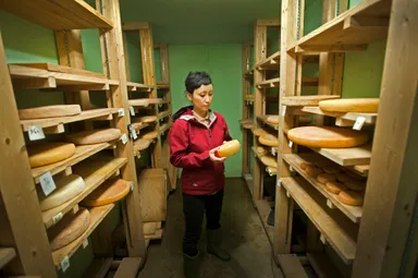 【ロテルド比叡】古株牧場チーズ（古株つや子）