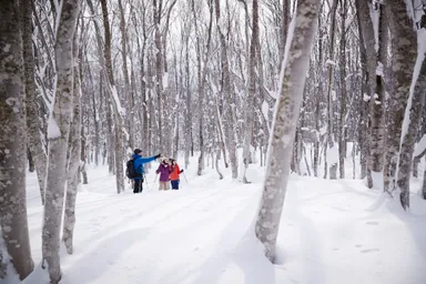 【奥入瀬渓流ホテル】スノーシューハイキング (1)