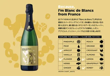 Because,　I’m Blanc de Blancs from France