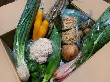 段ボールを開けるとこんなにたくさんの種類が入っています。