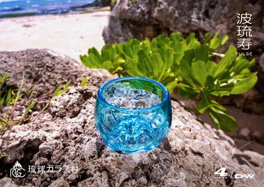 002_波琉寿_沖縄南部の海岸