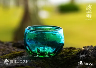 006_波琉寿_さんご_落ち着いた佇まい