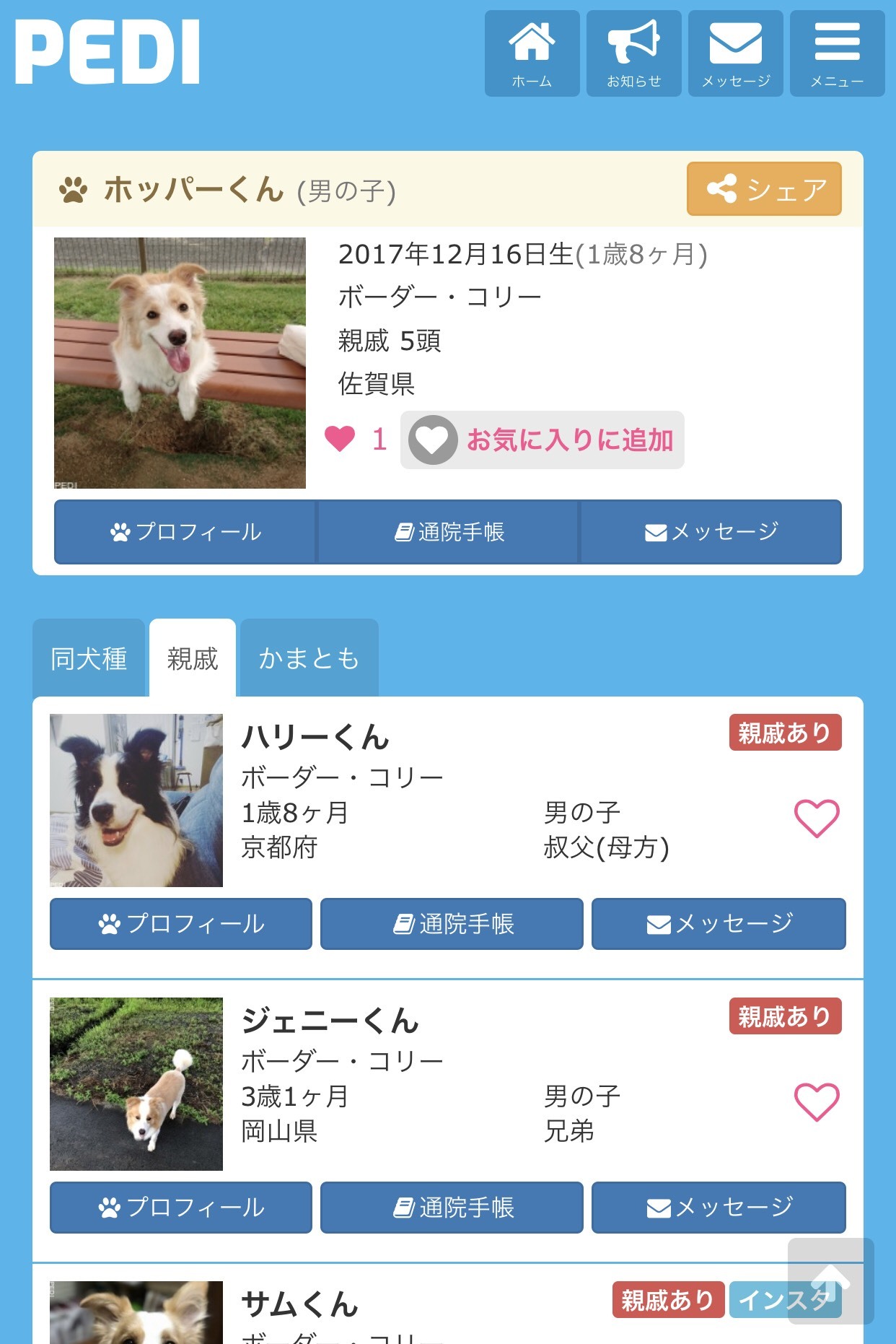 愛犬の親戚が見つかる 犬専用sns Pedi ペディ が登録頭数10万頭突破 Pets Hopのプレスリリース