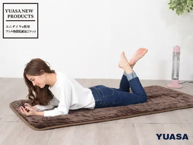 アレル物質低減 電気ルームマット