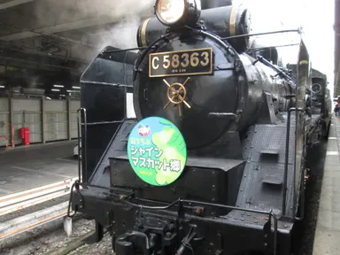 SLちちぶシャインマスカット郷イメージ