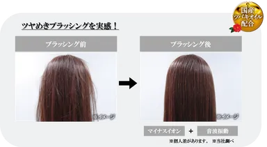 ツヤめきブラッシングを実感！
