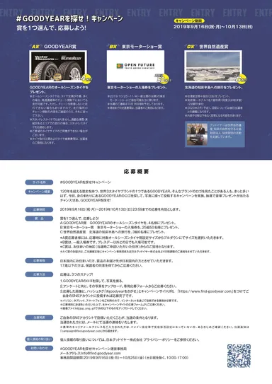 キャンペーン説明(2)