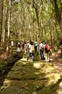 熊野古道世界遺産登録15周年！三重県熊野市でプレミアムなツアーを実施