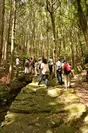 熊野古道ツアー