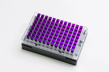 Axiom ジャポニカアレイ NEO