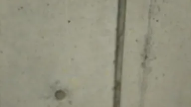 滝ノ水小学校17