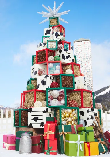 【トマム】牧草ツリー ヨリ